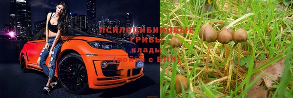 каннабис Баксан