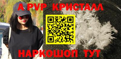 шишки Бийск