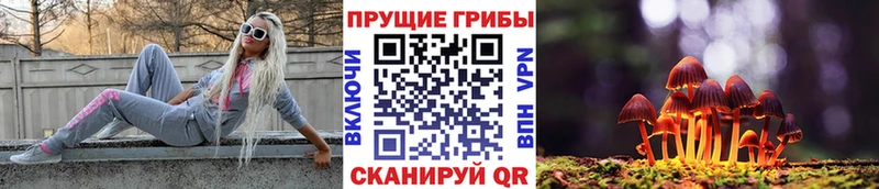 ссылка на мегу ссылка  Дагестанские Огни  Галлюциногенные грибы Cubensis 