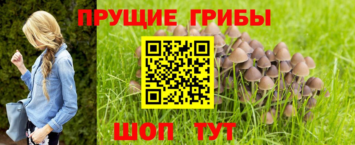 Псилоцибиновые грибы MAGIC MUSHROOMS  Дагестанские Огни 