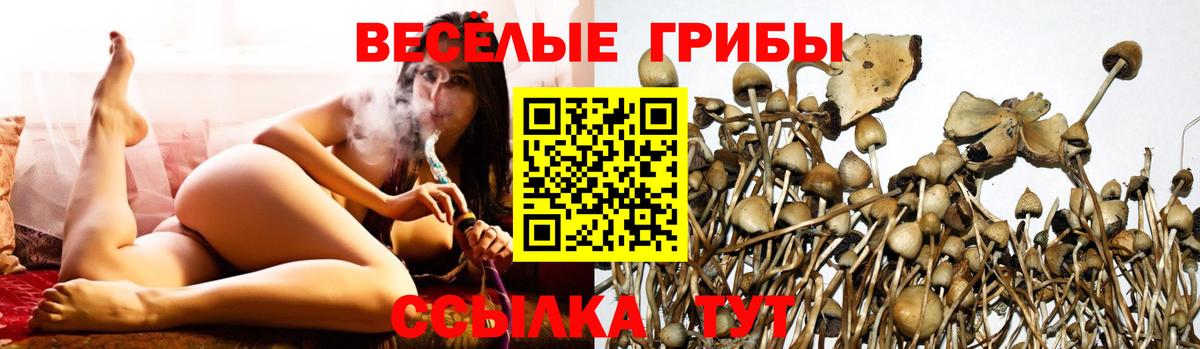 Галлюциногенные грибы Cubensis  хочу   Галлюциногенные грибы MAGIC MUSHROOMS  Дагестанские Огни  Вход с VPN 